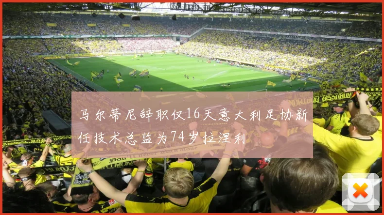马尔蒂尼辞职仅16天意大利足协新任技术总监为74岁拉涅利